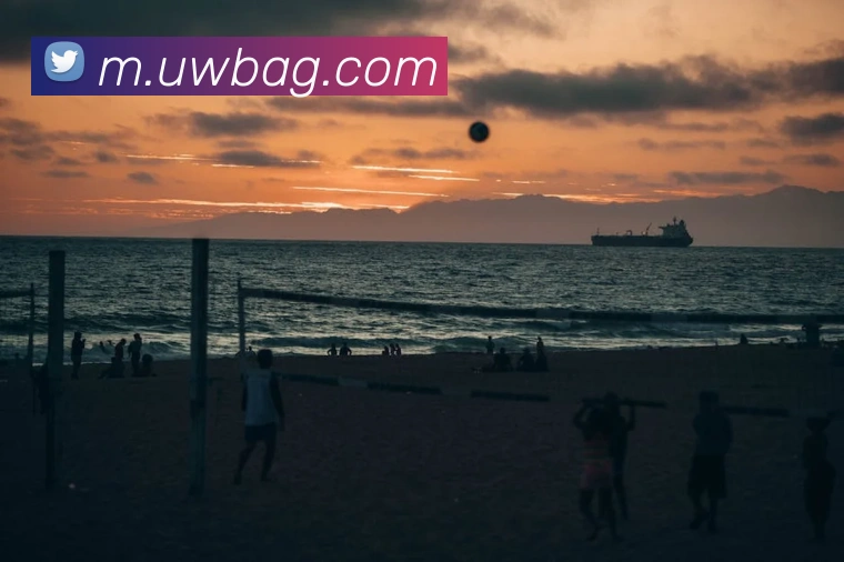 多媒体互动体验